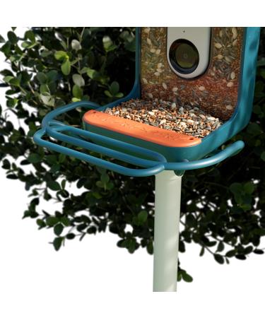 BIRD BUDDY Original Perch Extension (Blue) - Enhance Your Bird Watching Experience | International Shipping Available - Buy Online on GoSupps.com