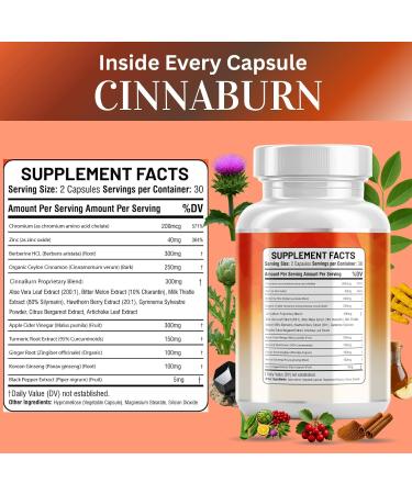 Kun Shafi Ceylon Cinnamon Complex with Berberine Apple Cider Vinegar Plus Bitter Melon Gymnema Ginseng Chromium & Turmeric Milk Thistle 60 Ct - Buy Online on GoSupps.com