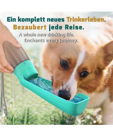 Shop the NEW 3 Series Dog Gift Set | 550ml Foldable Leak-Proof Drinking Bottle with Toothbrush & Pipe | Premium On-the-Go Solution for Dogs - Turquoise - Buy Online on GoSupps.com