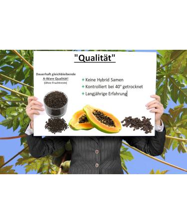 Buy 100g Papaya Kernels - Raw Food Quality Gluten & Lactose-Free Pure Papain Seeds No Additives - Buy Online on GoSupps.com