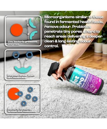 Dirtbusters Pet Pro Stain & Odour Eliminator Spray - Enzyme Cleaner for Dog & Cat Urine on Carpet, Fabric & Upholstery - Fig Scent (500ml) - Buy Online on GoSupps.com