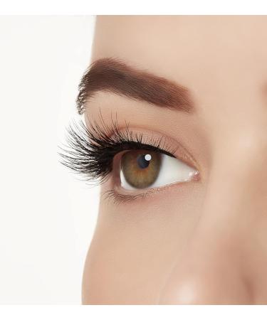 Aqua Lashes Pesta as 344 | No Color 344 | Buy Internationally - Enhance Your Look - Buy Online on GoSupps.com