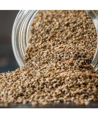 6 Oz. Bag of SPICED Whole Celery Seed - Perfect for Cooking, Seasoning, Brining, Pickling - Buy Online on GoSupps.com