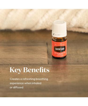 Ravintsara Essential Oil 5ml by Young Living - Soothing Eucalyptus Oil for Yoga Meditation & Healthy Skin | International Shipping - Buy Online on GoSupps.com