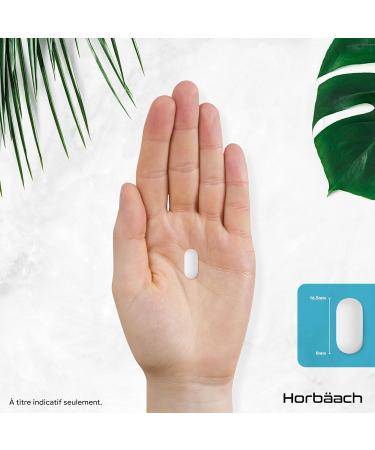 Enzyme Digestives Complexe avec Chlorhydrate de B ta ne | Lactase Prot ase Cellulase Amylase Lipase et Cellulase pour la Digestion | 90 Comprim s V g taliens | by Horbaach - Buy Online on GoSupps.com