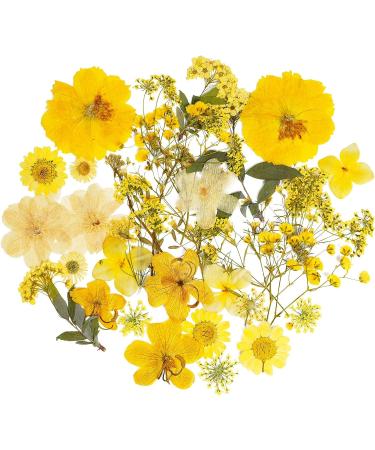 Natural Dried Mini Rose Hydrangea Daisy Mixed Multi-Color Pressed Flowers for DIY Art Craft Resin Nail Art - Yellow - Buy Online on GoSupps.com