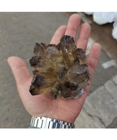 for Natural Smokey Quartz Tea Crystal Cluster Stones Crystal Point Specimen Home Decoration Raw Crystals Gemstones and Crystal dingchi FUZEGRDLI (Size : 300-400g) - Buy Online on GoSupps.com