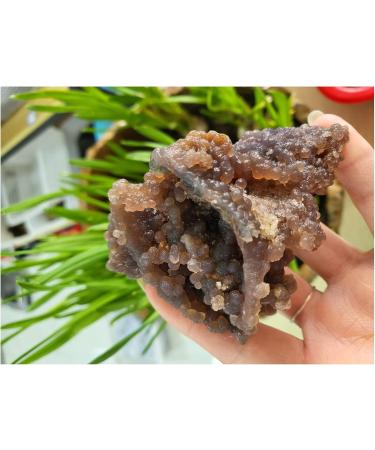 Gemstones and Crystals 50-80g Natural Grape Agate Crystal Specimen Home Decor QINTINYIN - Buy Online on GoSupps.com