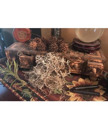 Buy Hand-Picked Generic Witch Burrs & Spanish Moss - Quality International Shipping - Buy Online on GoSupps.com