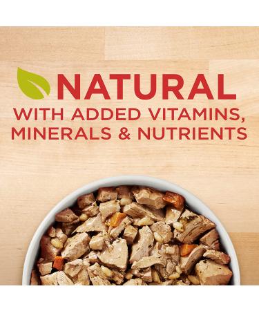 Purina ONE Dog Food 13oz (Pack of 12) Chicken & Brown Rice - Premium Nutrition for Dogs - Buy Online on GoSupps.com