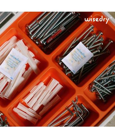 WISEDRY 2G Silica Gel Packs - 120 Pouches | Food-Grade Moisture Absorber with Color Indicator | Ideal for International Shipping - Buy Online on GoSupps.com