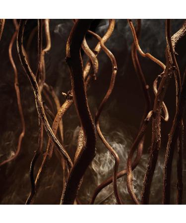 Hugo Boss Bottled Elixir Parfum Woody Men's Cologne With Notes of Incense Vetiver & Cedarwood Essence Long Lasting Fragrance 3.38 Fl Oz (Pack of 1) - Buy Online on GoSupps.com