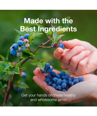 NutroGusto Jams Fruit Preserve Spread 290 g (Blueberry) - Buy Online on GoSupps.com