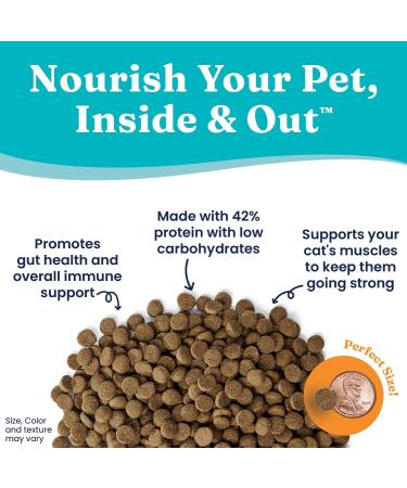 Solid Gold Indigo Moon High Protein Cat Food - Grain & Gluten Free, Digestive Probiotics, Omega 3, Low Carb Superfood Meal - 12lb - Buy Online on GoSupps.com