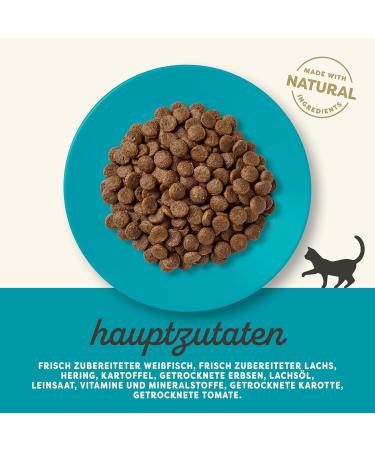 Applaws Complete Natural Dry Cat Food 350g - Ocean Fish & Salmon for Adults | Premium Quality International Shipping - Buy Online on GoSupps.com
