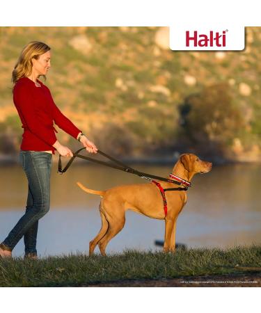 Halti Front Control Harness and Training Lead Combination Pack Stop Dog Pulling on Walks Includes Medium Front Control Harness and Double Ended Lead Black Model: 14326W Medium Harness - Buy Online on GoSupps.com