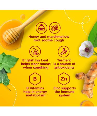 Zarbee's Children's Complete Cough + Cold Syrup Zinc Honey Tumeric Marshmallow Root B Vitamins English Ivy Leaf 118 mL - Buy Online on GoSupps.com