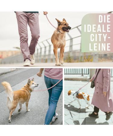 Ne & No Touleine Training Leash for Large Dogs - 1.7m Hand Loop Braided Rope City Leash in Mauve - Buy Online on GoSupps.com