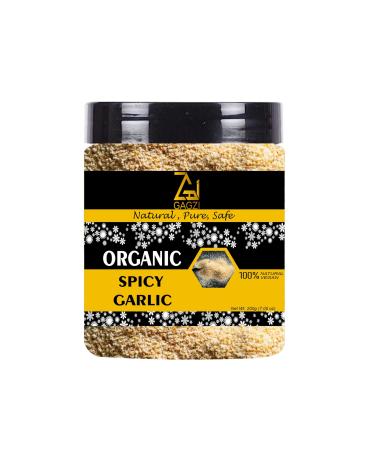 GAGZI All Natural Organic Spices Spicy Garlic 100 Gram (Packing May Be Vary) Pack of 1 100 Gram 3.35 oz