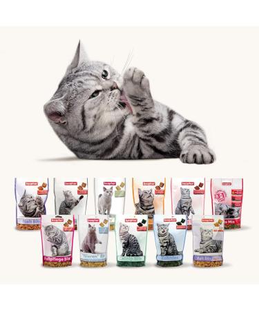 Beaphar Catnip Bits for Cats - Delicious Cat Snacks with Catnip - 150g Pack | International Shipping Available - Buy Online on GoSupps.com