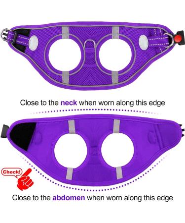 Joyal Dog Harness - Reflective Soft Padded Air-Mesh for Small Dogs & Cats XXS (31-34cm) - Purple - Buy Online on GoSupps.com