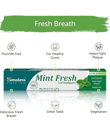 Himalaya Mint Fresh Gel Toothpaste - Fluoride Free 6.17 oz | Reduce Plaque & Brighten Teeth | Mint Fresh - Pack of 1 - Buy Online on GoSupps.com