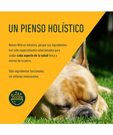 Nature Grain Free Wild Puppy Turkey Chicken Duck - Buy Online on GoSupps.com