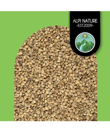 Hemp Seeds Unpeeled 1kg | 100% Natural Vegan No Additives - Shop Now! - Buy Online on GoSupps.com