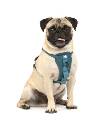 Kurgo Tru-Fit Dog Harness Crash Tested Car Seat Belt For Dogs 2 to 5 kg Size S Ink Blue Ink Blue S