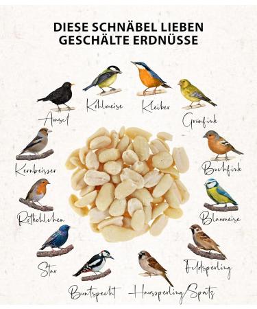 Dehner Natura Wild Bird Food - 5 kg Half/Whole Peanuts for Healthy Wild Birds | Premium Quality International Shipping - Buy Online on GoSupps.com