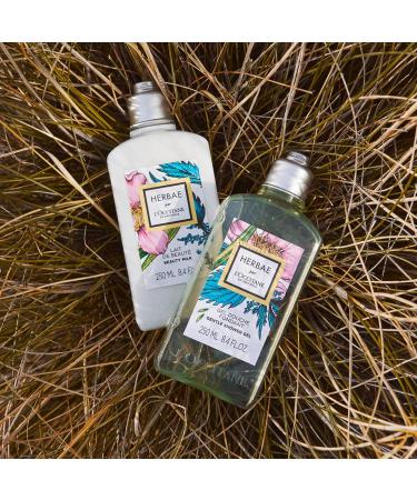 L'OCCITANE - Herbae Body Beauty Milk - 250 ml - Made in France - Buy Online on GoSupps.com