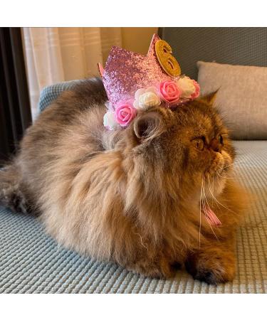 Rimobul Pet Crown Hat - Reusable Birthday Party Crown for Pet Girl Cat Dog - Pet Gift Grooming Accessories - Pink - Pack of 1 - Buy Online on GoSupps.com