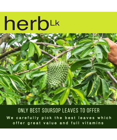 HerbLk Premium 30+ (15g / 0.5oz) Organic Soursop Dried Leaves Tea Whole Leaves Wildcrafted Graviola/Hoja De Guanabana Loose Leaf Herbal Tea - Buy Online on GoSupps.com
