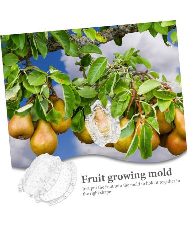 Parliky Fruits Forming Mould Vegetable Ginseng Buddha Shaped Fruit Multi-use Fruits to Play with Gourd - Buy Online on GoSupps.com