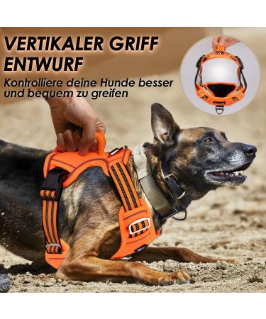 Eyin Adjustable Dog Harness for Small Dogs | Breathable Reflective Padded with Handle | Ideal for Daily Training (Orange Size S) - Buy Online on GoSupps.com