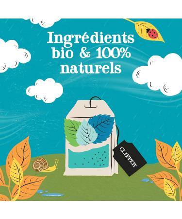 CLIPPER - Organic Mint Green Tea - Marrakech - Fair Trade - 20 Organic Tea Bags - 1 pack - Buy Online on GoSupps.com