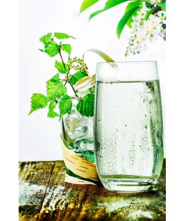Common Birch Leaf Tea | Feuille De Bouleau Tisane | Folium Betulae | Health Embassy (100g) - Buy Online on GoSupps.com
