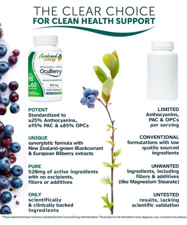 OcuBerry - Bilberry Grape Seed Black Currant & Black Rice Extracts - Antioxidant & Vascular Support - Vision Retina & Blue Light Protection - No Fillers Excipients - 60 Vegan Capsules Supplement - Buy Online on GoSupps.com