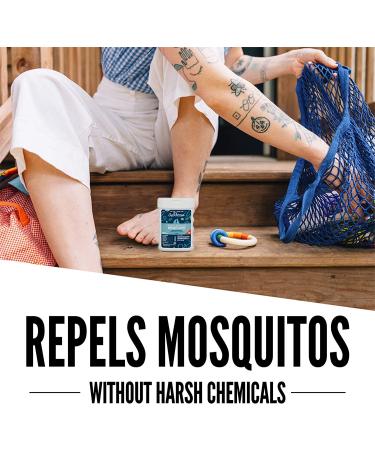 Aunt Fannie's Mosquito Wipes - 25 All-Natural Insect Repellent Wipes - Buy Online on GoSupps.com