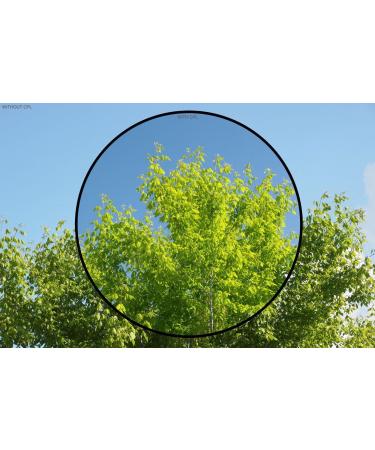 High Grade Multi-Coated 3 Piece Lens Filter Kit for Sony FDR-AX53 - Buy Online on GoSupps.com