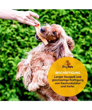 Hey Pets Beef Head for Dogs - 500g Natural Cereal-Free Chews | Ideal for Tooth Cleaning | 14cm Pieces | 100% Natural & Untreated - Buy Online on GoSupps.com