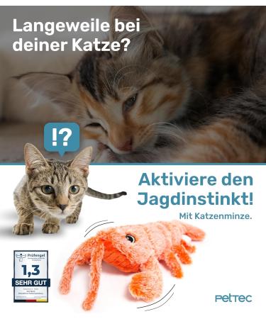 Pettec Interactive Cat Toy - Electric Movable Lobster with Catnip | Self-Employment & Automatic Play for Cats - Buy Online on GoSupps.com