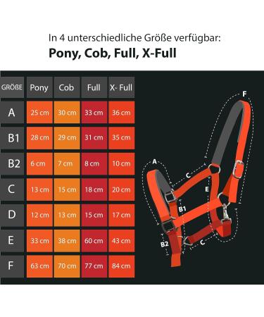 Durable Horse Delinis Halter for Warmbloods Thoroughbreds & Ponies - Adjustable Safe & Tear-Resistant - Perfect for Stables & Pastures - Blue (COB) - Buy Online on GoSupps.com