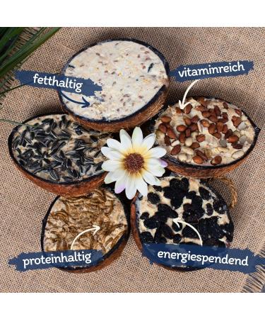 Lyra Pet 3 x 10 Filled Coconut Halves | High Fat Bird Food | Coconut with different toppings - Buy Online on GoSupps.com