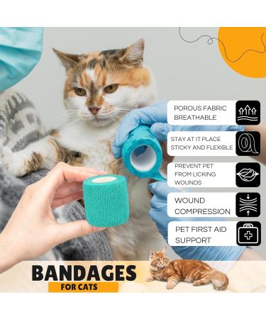 Vet Wrap Self Adhesive Bandage 5cm x 4.5m - Cohesive Tape for Pets & Sports (12 Pack) - Buy Online on GoSupps.com