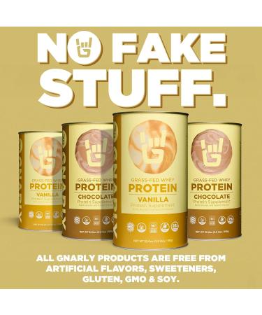 Gnarly Nutrition Vanilla Protein Powder NSF Sport Certified 25g Protein Muscle Repair Grass Fed Whey Powder Smooth Taste Vanilla 32 oz Vanilla Canister (20 Servings) - Buy Online on GoSupps.com