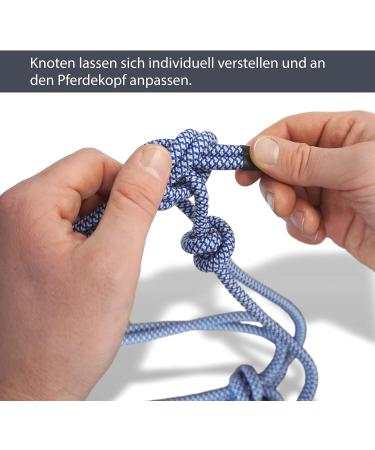 Premium Knothalter for Floor Work - COB Knot-Halter for Free Work & Training | Royal Blue-White - Buy Online on GoSupps.com