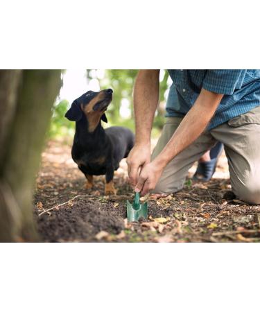 aBeiou. White truffle oil 250ml extra gourmet product 100% Italian extra virgin olive oil flavoured with white truffle artisanal oil vegan vegetarian gifts White 250 - Buy Online on GoSupps.com