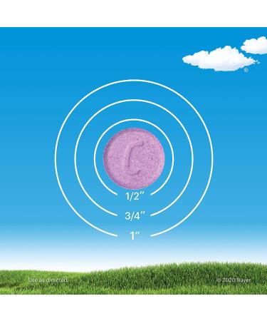 Claritin Kids Non-Drowsy 24-Hour Allergy Relief Chewables - Grape Flavor (60 Count) - Buy Online on GoSupps.com