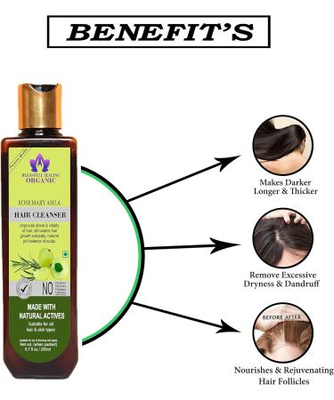 Blessfull Healing Organic Rosemary Amla Hair Cleanser | Shampoo 200 ML (Packing May Vary) 200 ml (Pack of 1) - Buy Online on GoSupps.com